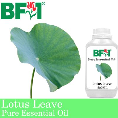 Pure Essential Oil (EO) - Lotus Leave Essential Oil - 500ml