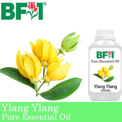 Pure Essential Oil (EO) - Ylang Ylang Essential Oil - 500ml