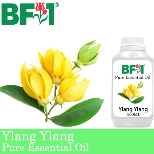 Pure Essential Oil (EO) - Ylang Ylang Essential Oil - 500ml Pure Essential Oil (EO) - Ylang Ylang Essential Oil - 500ml