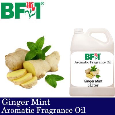 Aromatic Fragrance Oil (AFO) - Ginger Mint - 5L