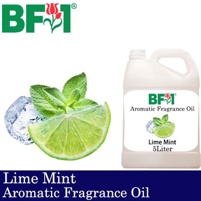 Aromatic Fragrance Oil (AFO) - Lime Mint - 5L