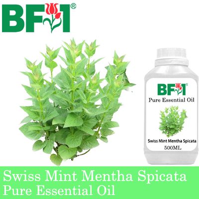 Pure Essential Oil (EO) - Mint - Swiss Mint ( Mentha Spicata ) Essential Oil - 500ml