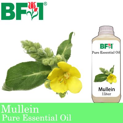 Pure Essential Oil (EO) - Mullein Essential Oil - 1L