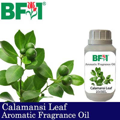 Aromatic Fragrance Oil (AFO) - Calamansi Leaf - 250ml Aromatic Fragrance Oil (AFO) - Calamansi Leaf - 250ml
