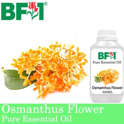 Pure Essential Oil (EO) - Osmanthus Flower Essential Oil - 500ml