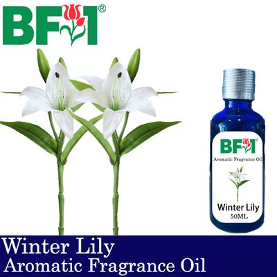 Aromatic Fragrance Oil (AFO) - Winter Lily - 50ml