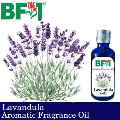 Aromatic Fragrance Oil (AFO) - Lavandula - 50ml