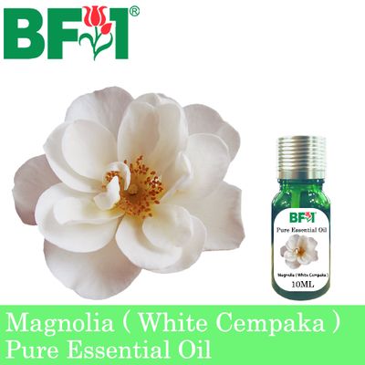 Pure Essential Oil (EO) - Magnolia ( White Cempaka ) Essential Oil - 10ml
