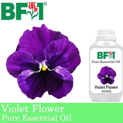 Pure Essential Oil (EO) - Violet Flower Essential Oil - 500ml Pure Essential Oil (EO) - Violet Flower Essential Oil - 500ml