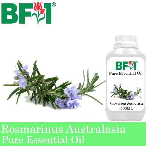 Pure Essential Oil (EO) - Rosmarinus Australasia Essential Oil - 500ml Pure Essential Oil (EO) - Rosmarinus Australasia Essential Oil - 500ml