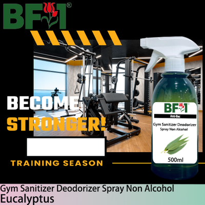 (ABGSD) Eucalyptus Anti-Bac Gym Sanitizer Deodorizer Spray - Non Alcohol - 500ml (ABGSD) Eucalyptus Anti-Bac Gym Sanitizer Deodorizer Spray - Non Alcohol - 500ml