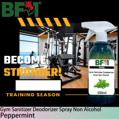 (ABGSD) mint - Spear Mint Anti-Bac Gym Sanitizer Deodorizer Spray - Non Alcohol - 500ml (ABGSD) mint - Spear Mint Anti-Bac Gym Sanitizer Deodorizer Spray - Non Alcohol - 500ml