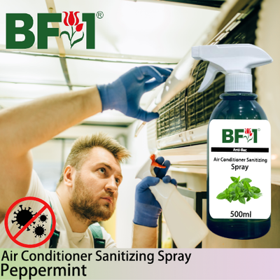 Anti-Bac Air Conditioner Sanitizing Spray Non Alcohol (ABACS) - mint - Peppermint - 500ml