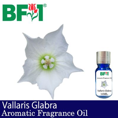 Aromatic Fragrance Oil (AFO) - Vallaris Glabra - 10ml