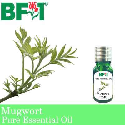 Pure Essential Oil (EO) - Mugwort Essential Oil - 10ml
