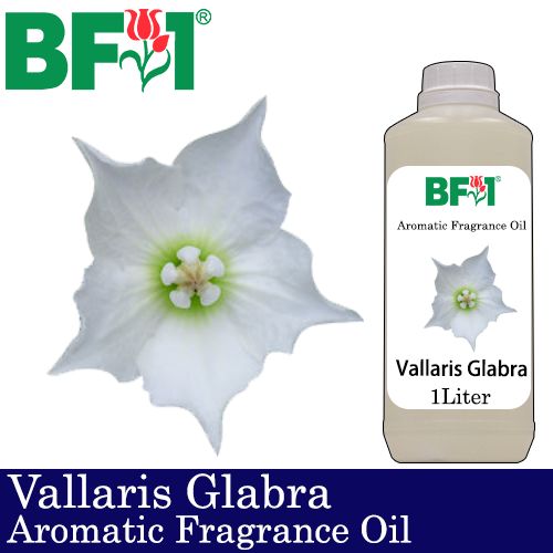 Aromatic Fragrance Oil (AFO) - Vallaris Glabra - 1L Aromatic Fragrance Oil (AFO) - Vallaris Glabra - 1L