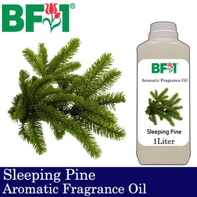 Aromatic Fragrance Oil (AFO) - Sleeping Pine - 1L