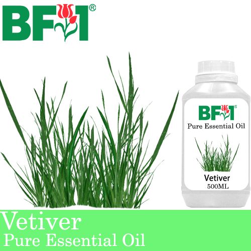 Pure Essential Oil (EO) - Vetiver Essential Oil - 500ml Pure Essential Oil (EO) - Vetiver Essential Oil - 500ml