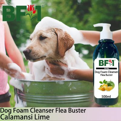 Dog Foam Cleanser Flea Buster (DFC-Dog) - lime - Calamansi Lime - 500ml ⭐⭐⭐⭐⭐