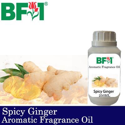 Aromatic Fragrance Oil (AFO) - Spicy Ginger - 250ml Aromatic Fragrance Oil (AFO) - Spicy Ginger - 250ml
