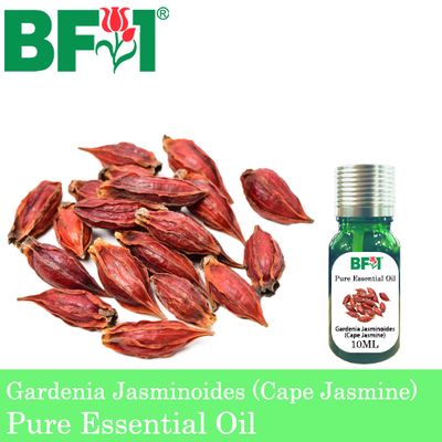 Pure Essential Oil (EO) - Gardenia Jasminoides (Cape Jasmine) Essential Oil - 10ml