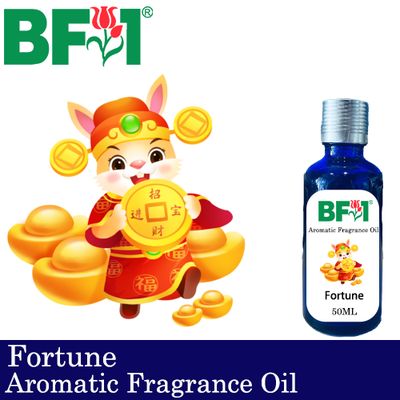Aromatic Fragrance Oil (AFO) - Fortune - 50ml