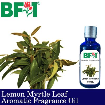Aromatic Fragrance Oil (AFO) - Lemon Myrtle Leaf - 50ml