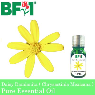 Pure Essential Oil (EO) - Daisy Damianita ( Chrysactinia Mexicana ) Essential Oil - 10ml