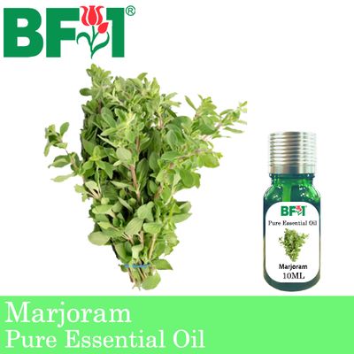 Pure Essential Oil (EO) - Marjoram Essential Oil - 10ml