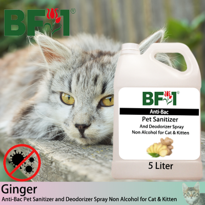 Anti-Bac Pet Sanitizer and Deodorizer Spray (ABPSD-Cat) - Non Alcohol with Ginger - 5L for Cat and Kitten