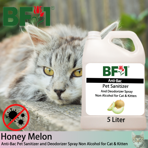 Anti-Bac Pet Sanitizer and Deodorizer Spray (ABPSD-Cat) - Non Alcohol with Honey Melon - 5L for Cat and Kitten