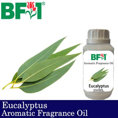 Aromatic Fragrance Oil (AFO) - Eucalyptus - 250ml