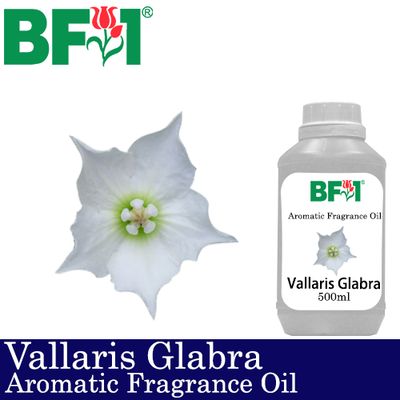 Aromatic Fragrance Oil (AFO) - Vallaris Glabra - 500ml