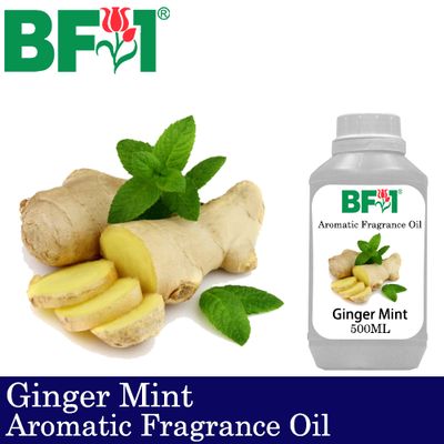 Aromatic Fragrance Oil (AFO) - Ginger Mint - 500ml
