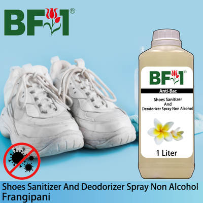 Anti-Bac Shoes Sanitizer and Deodorizer Spray (ABSSD) - Non Alcohol with Frangipani - 1L