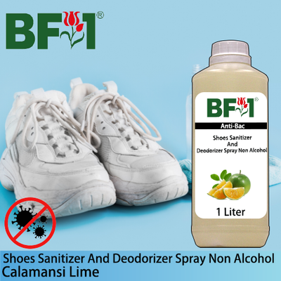 Anti-Bac Shoes Sanitizer and Deodorizer Spray (ABSSD) - Non Alcohol with lime - Calamansi Lime - 1L