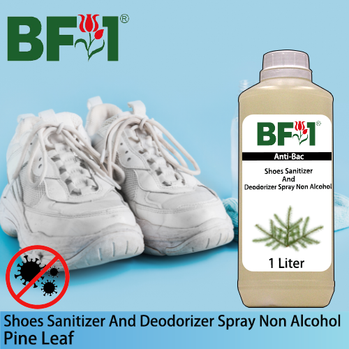 Anti-Bac Shoes Sanitizer and Deodorizer Spray (ABSSD) - Non Alcohol with Pine Leaf - 1L