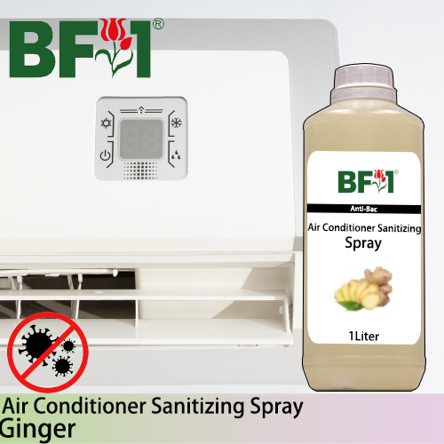 Anti-Bac Air Conditioner Sanitizing Spray Non Alcohol (ABACS) - Ginger - 1L Anti-Bac Air Conditioner Sanitizing Spray Non Alcohol (ABACS) - Ginger - 1L