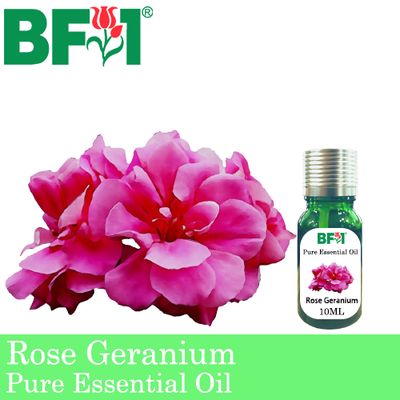 Pure Essential Oil (EO) - Geranium - Rose Geranium Essential Oil - 10ml
