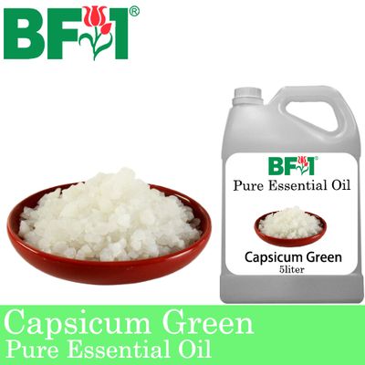 Pure Essential Oil (EO) - Camphor Essential Oil - 5L