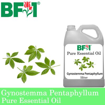 Pure Essential Oil (EO) - Gynostemma Pentaphyllum Essential Oil - 5L