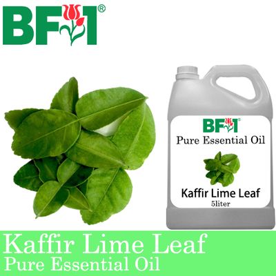 Pure Essential Oil (EO) - Lime - Kaffir Lime Leaf Essential Oil - 5L Pure Essential Oil (EO) - Lime - Kaffir Lime Leaf Essential Oil - 5L