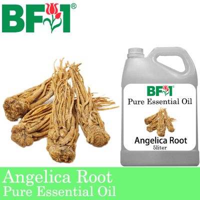 Pure Essential Oil (EO) - Angelica Root Essential Oil - 5L