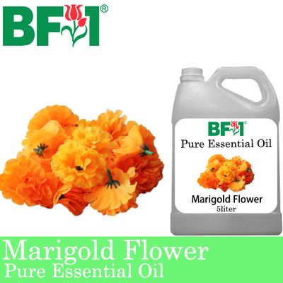 Pure Essential Oil (EO) - Marigold Flower Essential Oil - 5L