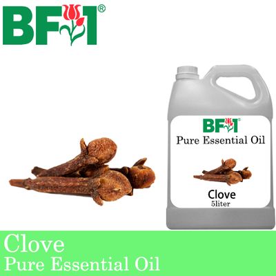 Pure Essential Oil (EO) - Clove Essential Oil - 5L