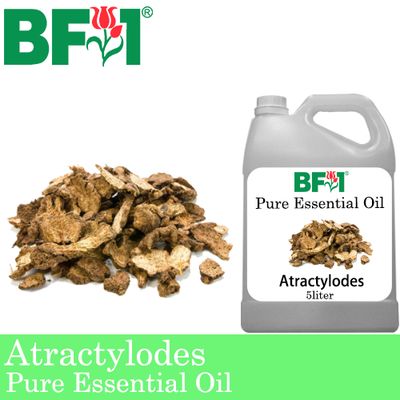 Pure Essential Oil (EO) - Atractylodes Essential Oil - 5L