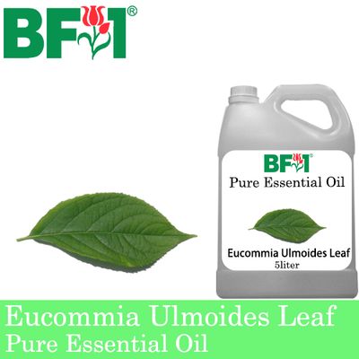 Pure Essential Oil (EO) - Eucommia Ulmoides Leaf Essential Oil - 5L