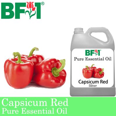 Pure Essential Oil (EO) - Capsicum Red Essential Oil - 5L