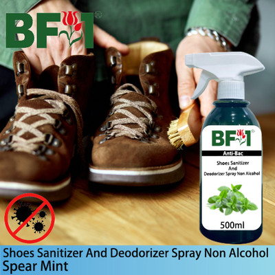 Anti-Bac Shoes Sanitizer and Deodorizer Spray (ABSSD) - Non Alcohol with mint - Spear Mint - 500ml