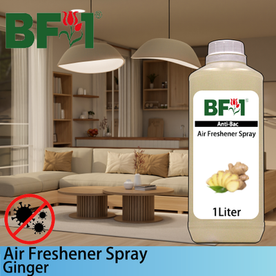 Air Freshener Spray - Ginger - 1L